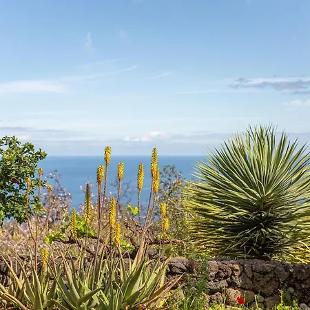 Casa Agave 1 *